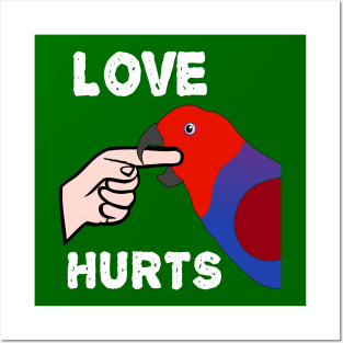 Love Hurts Eclectus Female Parrot Biting Posters and Art